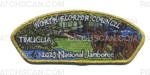 Patch Scan of 2023 NSJ- North Florida Council Timucua CSP (Gold Metallic)