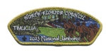 2023 NSJ- North Florida Council Timucua CSP (Gold Metallic) North Florida Council #87