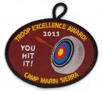 X149720C TROOP EXCELLENCE AWARD 2013  Marin Council #35
