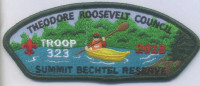 353304 TROOP 323 Theodore Roosevelt Council #386