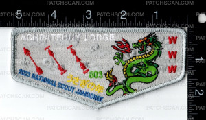 Patch Scan of 161629
