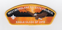Eagle Class of 2019 CSP Westmoreland-Fayette Council #512