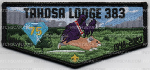 Patch Scan of TAHOSA 75TH LODGE FLAP