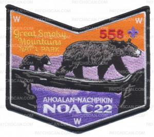 Patch Scan of NOAC 2022 Ahoalan-Nachpikin Pocket Piece