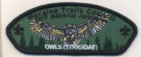 336318 A OWLS Moraine Trails Council #500