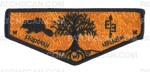 Patch Scan of Sequoyah E3 flap