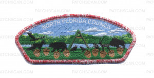 Patch Scan of NFC Wood Badge CSP