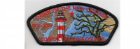 100th Anniversary CSP #3 (PO 89597) Coastal Carolina Council #550