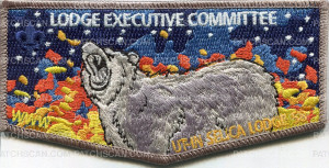 Patch Scan of LODGE EXECUTIVE COMMITTEE FLAP UT-IN-SELICA LODGE 58 