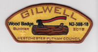 Gilwell Wood Badge N2-388-18 CSP Westchester-Putnam Council #388