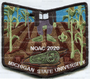 Patch Scan of aracoma NOAC 2020 pocket