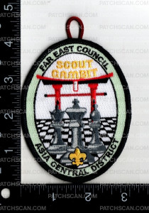 Patch Scan of 153728