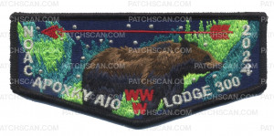 Patch Scan of Apoxky Aio NOAC 2024 flap
