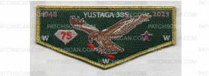 Patch Scan of 75th Anniversary Flap (PO 100945)