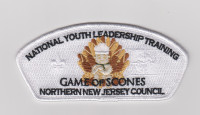 NNJC NYLT Staff CSP 2019 Northern New Jersey Council #333