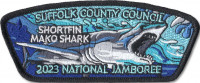 P24658C 2021 Jamboree Set Suffolk County Council #404