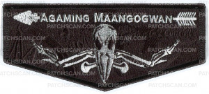 Patch Scan of Agaming Section flap 2019