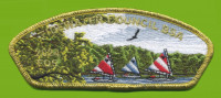 Eagle James River- Tidewater Council BSA 2024 FOS (CSP) Tidewater Council #596