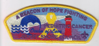 A Beacon of Hope Fighting Pediatric Cancer JSC CSP Jersey Shore Council #341