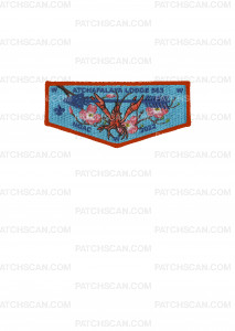 Patch Scan of Atchafalaya Lodge NOAC 2022 Flap (Red Border)
