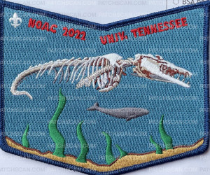 Patch Scan of 434915- NOAC 2022