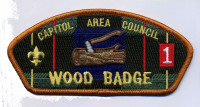 Wood Badge CAC 2014 Capitol Area Council #564