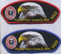 449018-Eagle Scout 2022 Puerto Rico Council #661