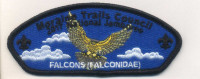 336319 A FALCONS Moraine Trails Council #500