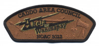 AKELA WAHINAPAY 232 CSP (Brown) Caddo Area Council #584