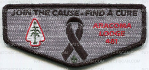 Patch Scan of ARACOMA PINK RIBBON