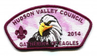 Gathering of Eagles 2014 Hudson Valley Council #374