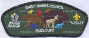 Patch Scan of 458510 Great Rivers Council CSP