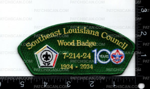 Patch Scan of 171299