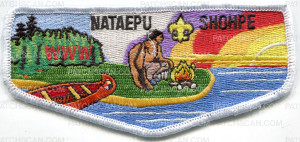 Patch Scan of Nataepu Shohpe flap