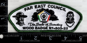 Patch Scan of 152473