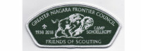 2018 Friends of Scouting CSP (PO 87527) Greater Niagara Frontier Council #380