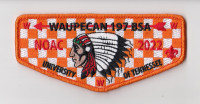 Waupecan Lodge NOAC 2022 Rainbow Council #702
