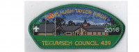 Camp Birch CSP 2016 (green) Tecumseh Council #439