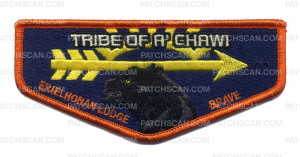 Patch Scan of Tribe of A'Chawi Erielhonan Lodge Brave