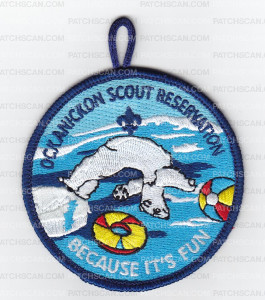 Patch Scan of Ockanickeon Scout Reservation Because It's Fun