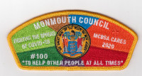 Monmouth Council CSP Monmouth Council #347