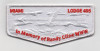 MIAMI VALLEY LODGE RC FLAP GHOST