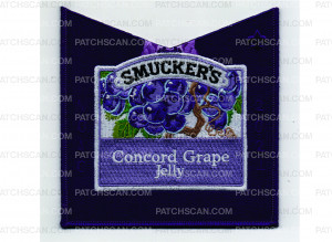 Patch Scan of NOAC 2024 Pocket Patch Concord Grape (PO 102240)