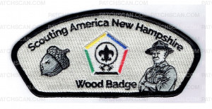 Patch Scan of 186270-Standard