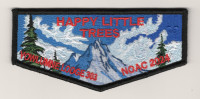 Yowlumne 303 NOAC 2024 Happy Little Trees flap Southern Sierra Council #30