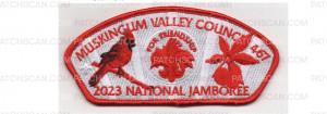 Patch Scan of 2023 National Jamboree CSP (100827)