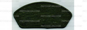 Patch Scan of FOS CSP 2025 Thrifty (PO 102711)