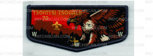 Patch Scan of Lodge Flap (PO 103700)