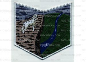 Patch Scan of 2024 NOAC Pocket Patch #4 (PO 102250)