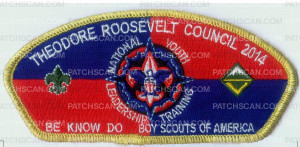 Patch Scan of 2014 TRC NYLT CSP METALLIC GOLD